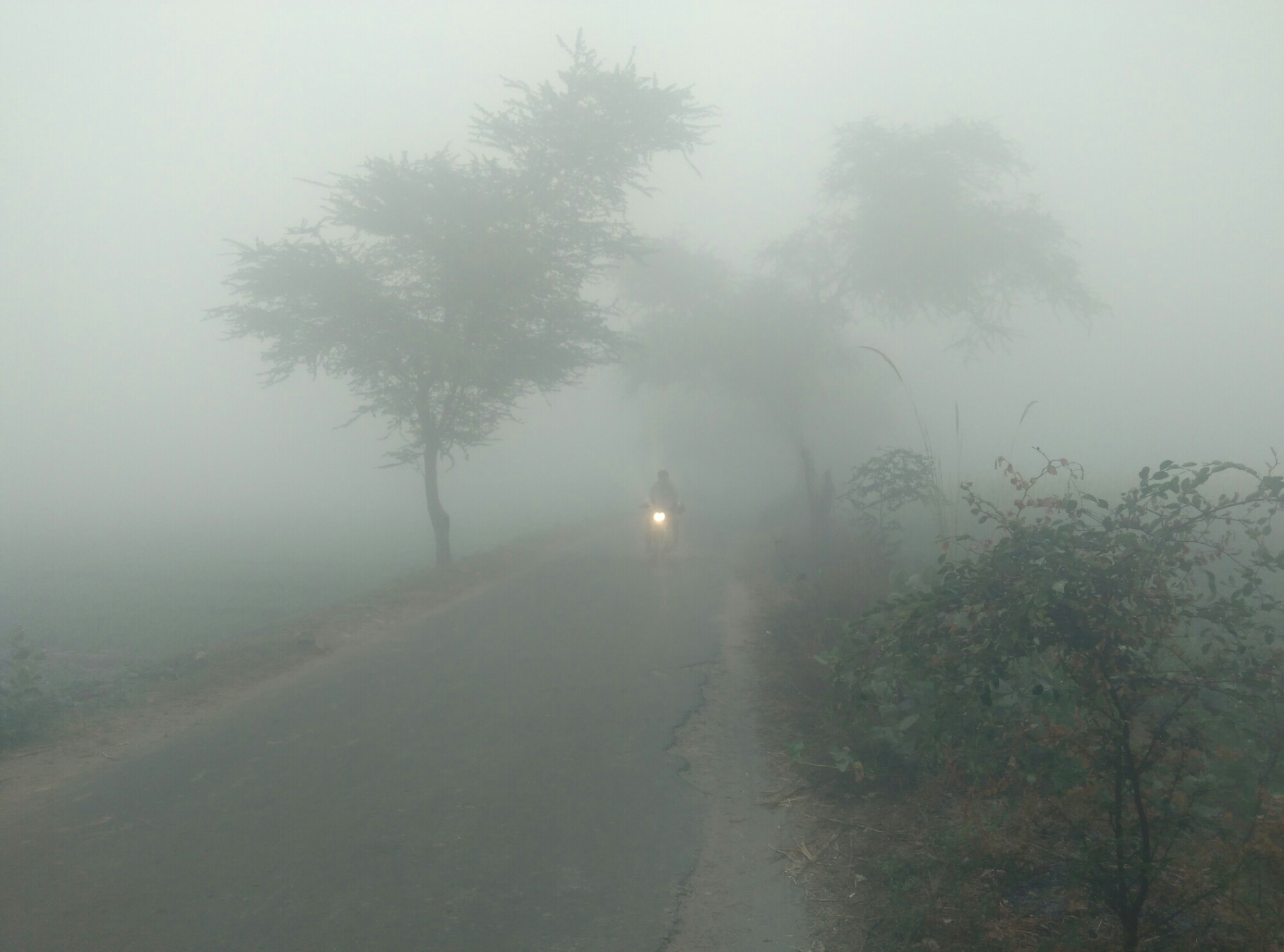 ରାଜ୍ୟରେ ବର୍ଷା ସହ ଘନ କୁହୁଡ଼ି ନେଇ ସତର୍କ ସୂଚନା ଜାରି