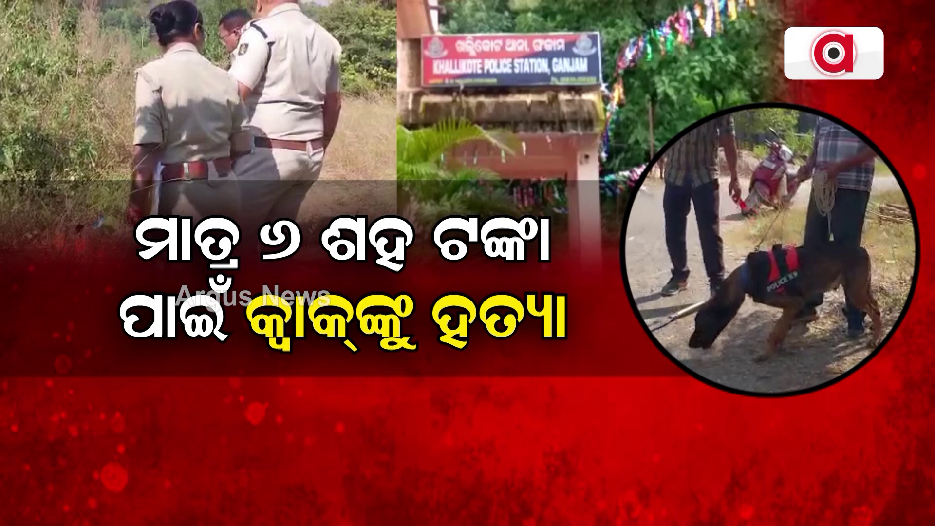 ମାତ୍ର ୬ ଶହ ଟଙ୍କା ପାଇଁ କ୍ବାକ୍ଙ୍କୁ ହତ୍ୟା