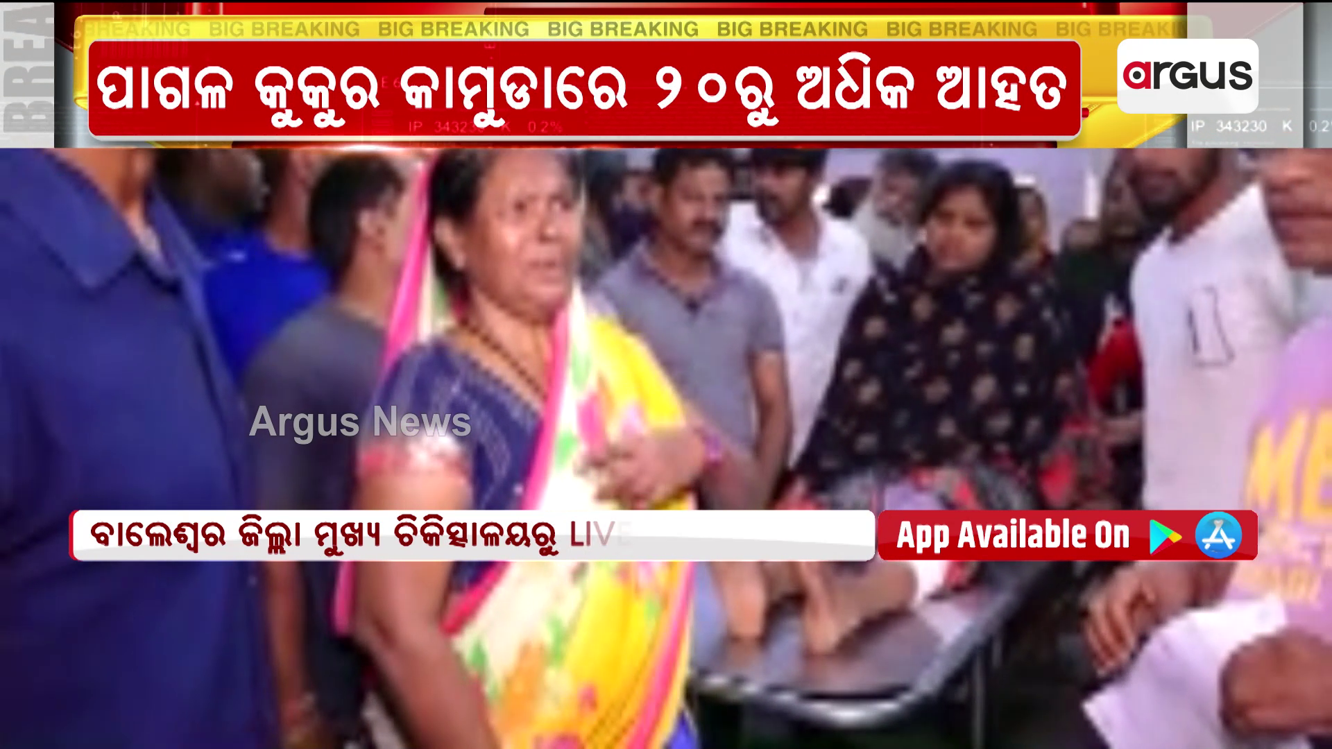 ପାଗଳ କୁକୁର ଆତଙ୍କ