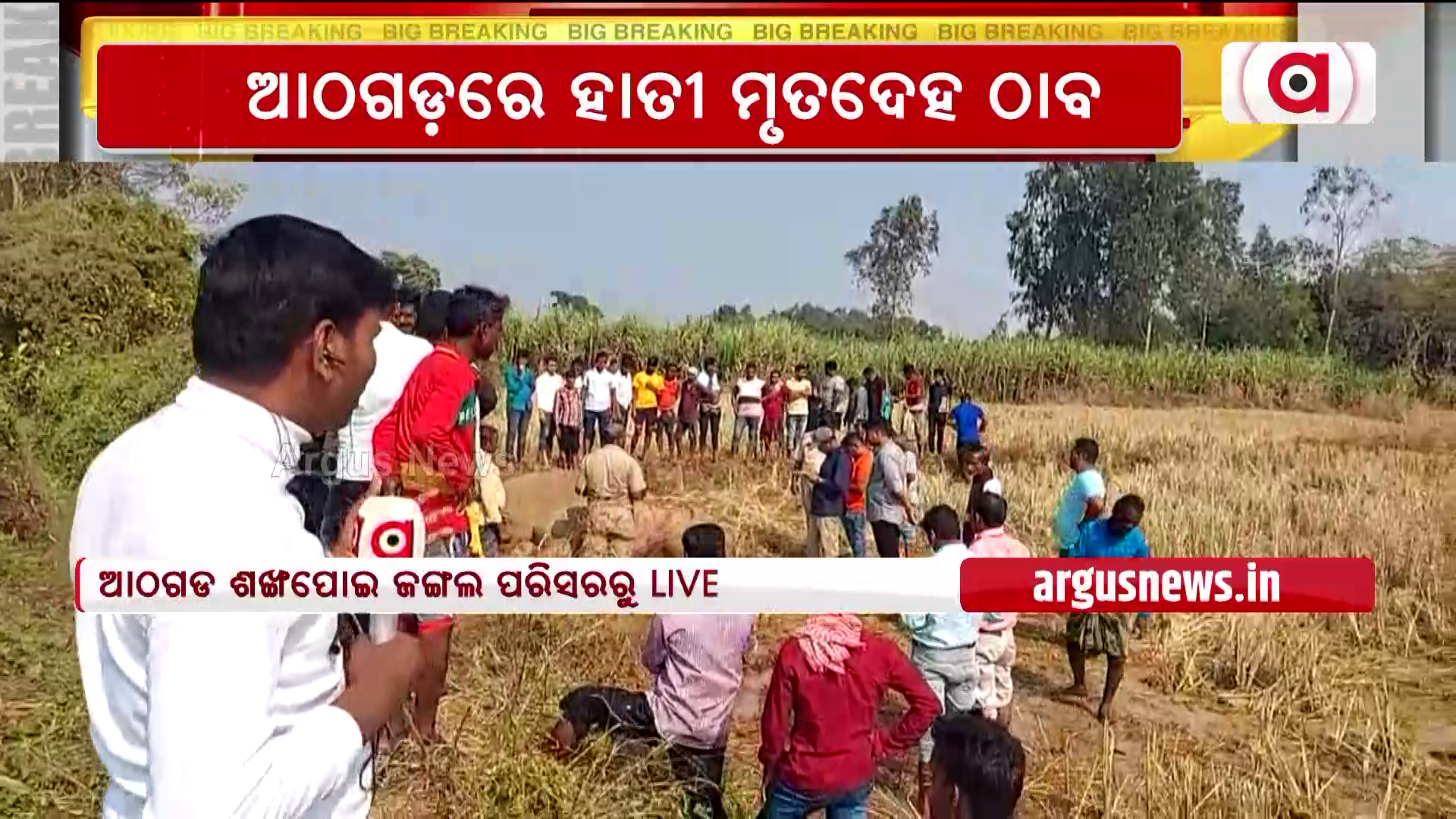 ପୁଣି ହାତୀ ମୃତଦେହ ଠାବ