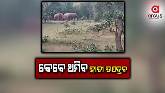 ବଢୁଛି ହାତୀ ଉପଦ୍ରବ, ଅକାରଣରେ ଯାଉଛି ଧନ ଜୀବନ