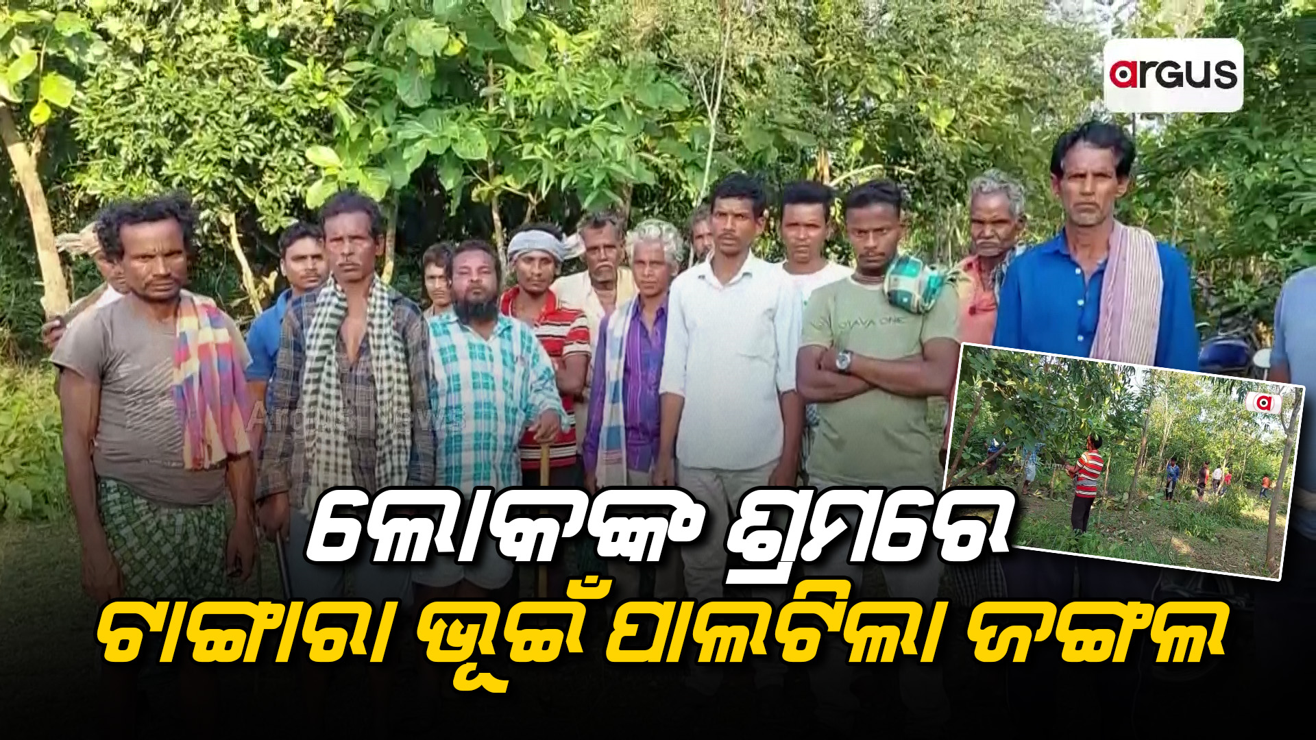 ଲୋକଙ୍କ ଶ୍ରମରେ ଟାଙ୍ଗାରା ଭୂଇଁ ପାଲଟିଲା ଜଙ୍ଗଲ