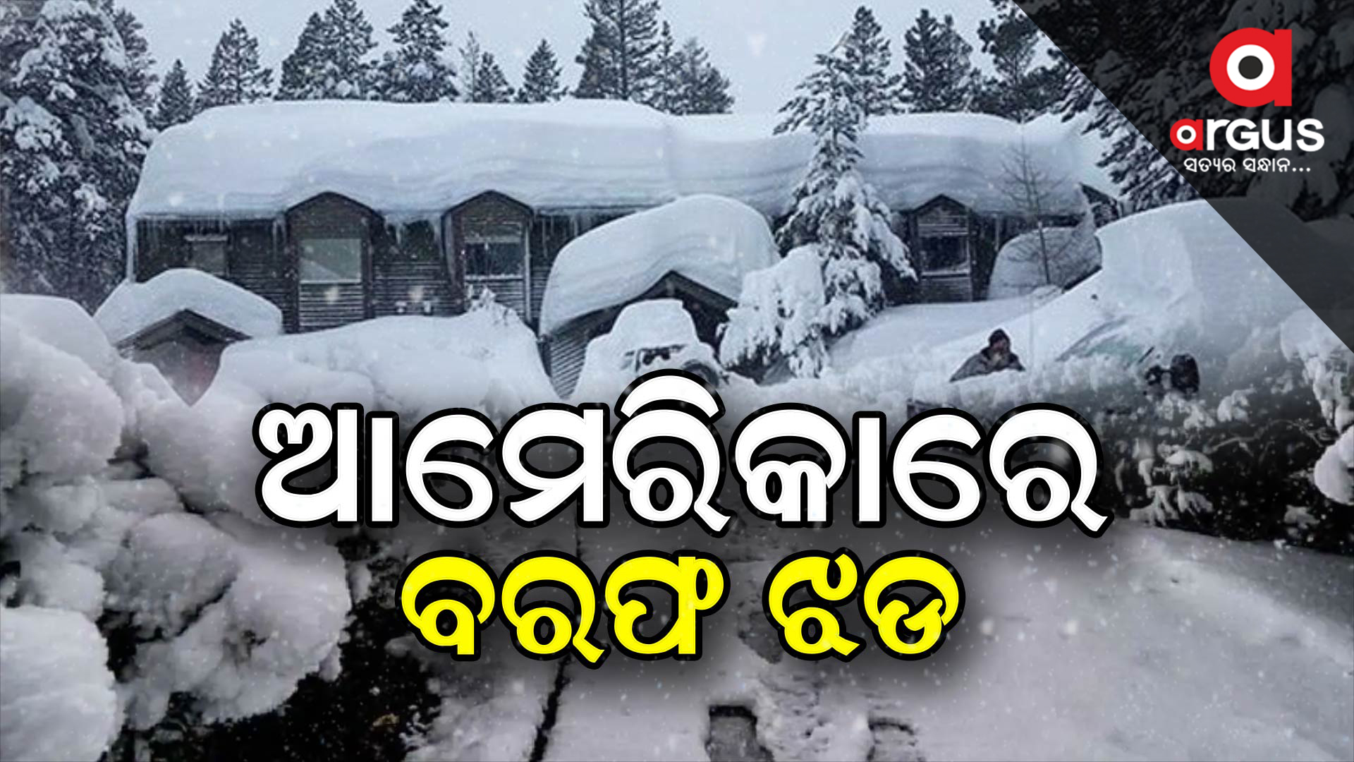 ଥରୁଛି ଆମେରିକା