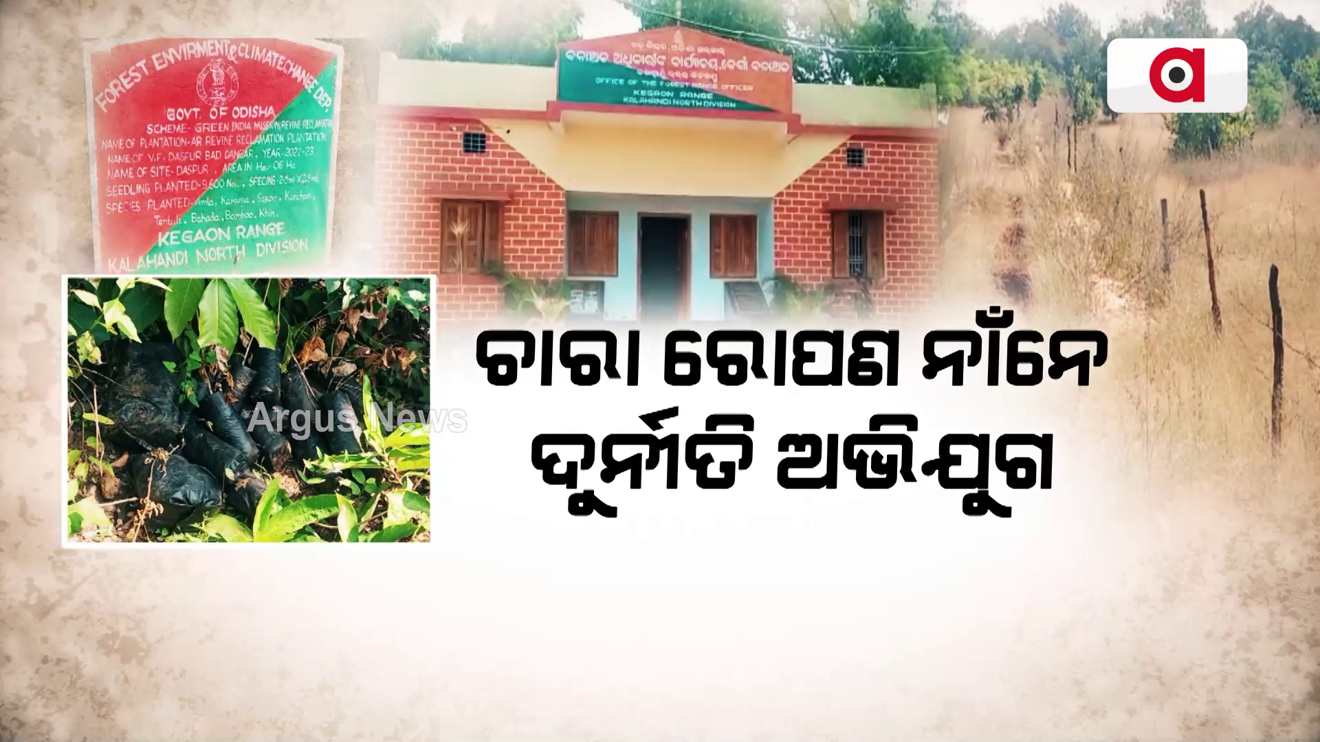 ଚାରା ରୋପଣ ନାଁନେ ଦୁର୍ନୀତି ଅଭିଯୁଗ !