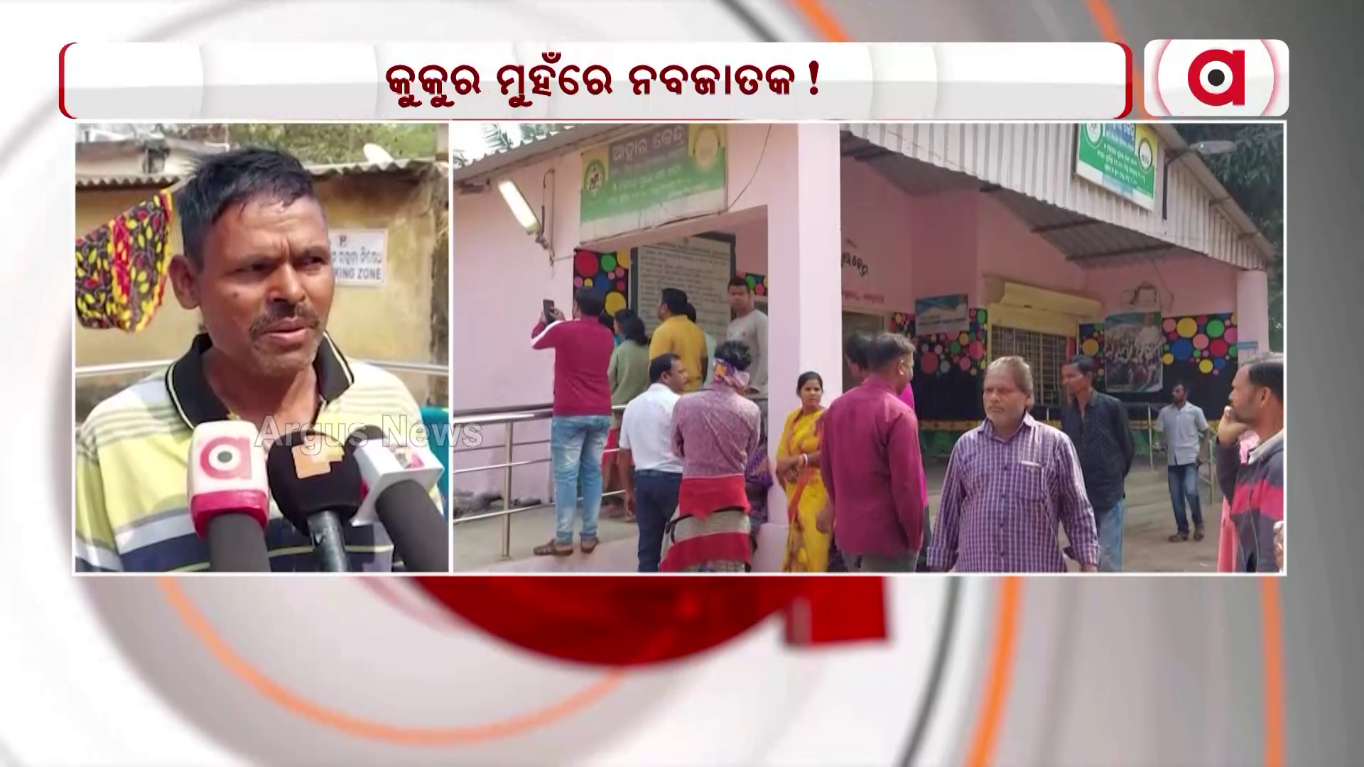 କୁକୁର ମୁହଁରେ ନବଜାତକ!