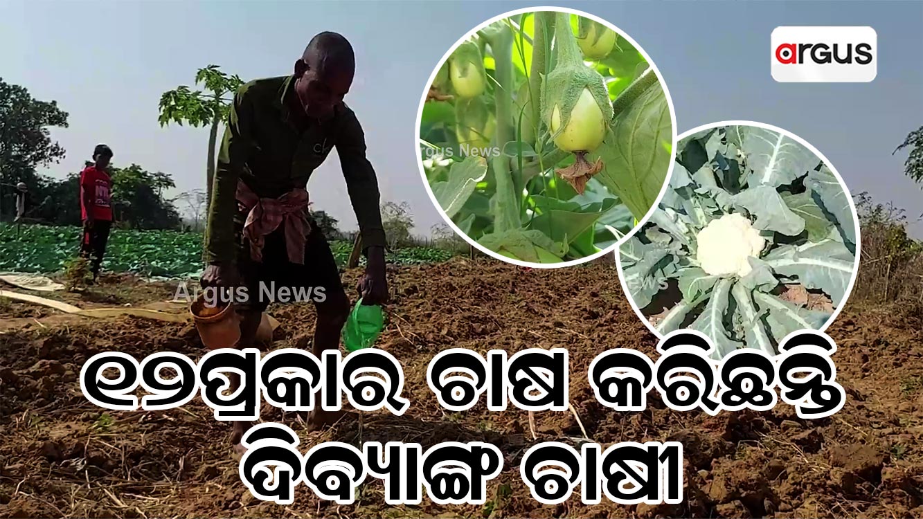 ୧୨ପ୍ରକାର ଚାଷ କରିଛନ୍ତି ଦିବ୍ୟାଙ୍ଗ ଚାଷୀ !