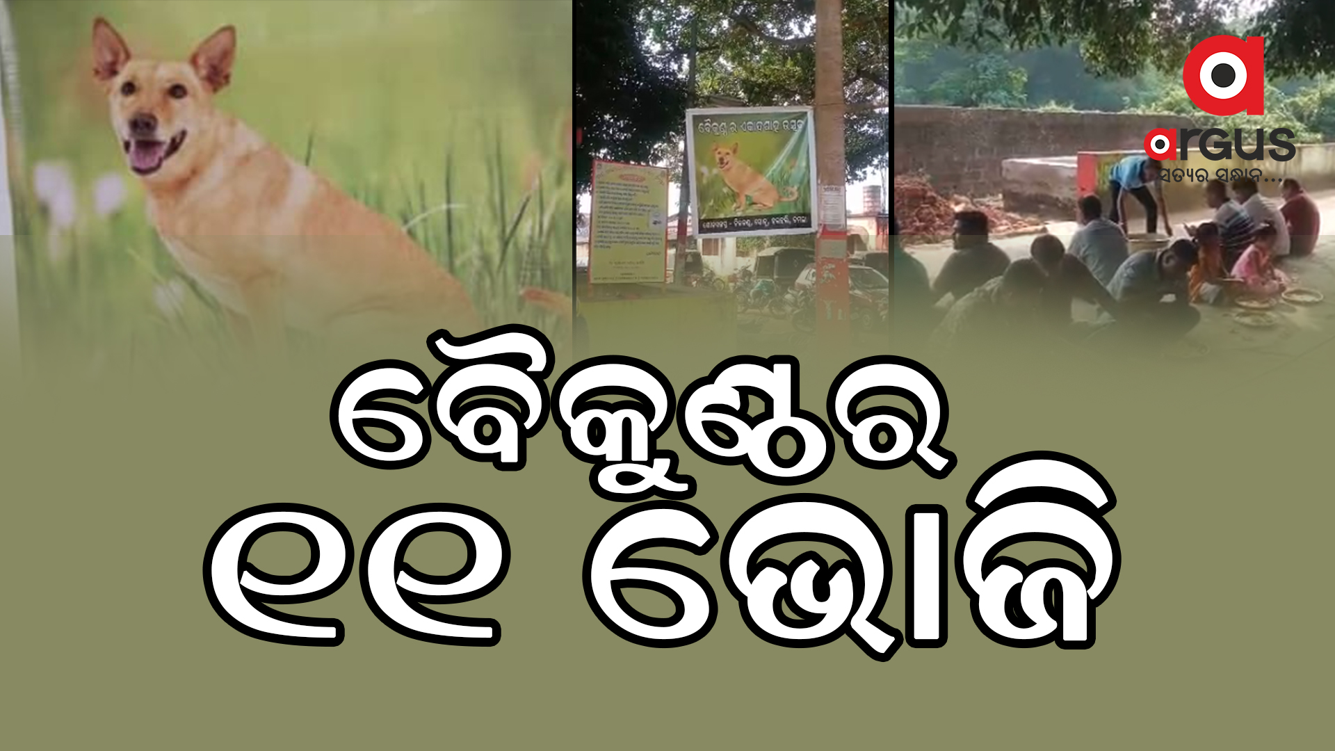କୁକୁରର ପାଇଁ ଏକାଦଶାହ ଭୋଜି !
